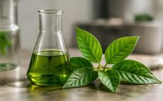 Kratom Alkaloids Explained Simply