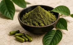 Rooted Stories: How Our Readers Use Kratom